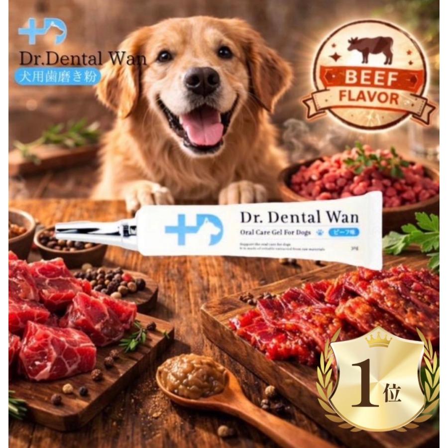 ドクターデンタルワン 30g ビーフ味 犬 歯磨き ジェル 口 ペット わん