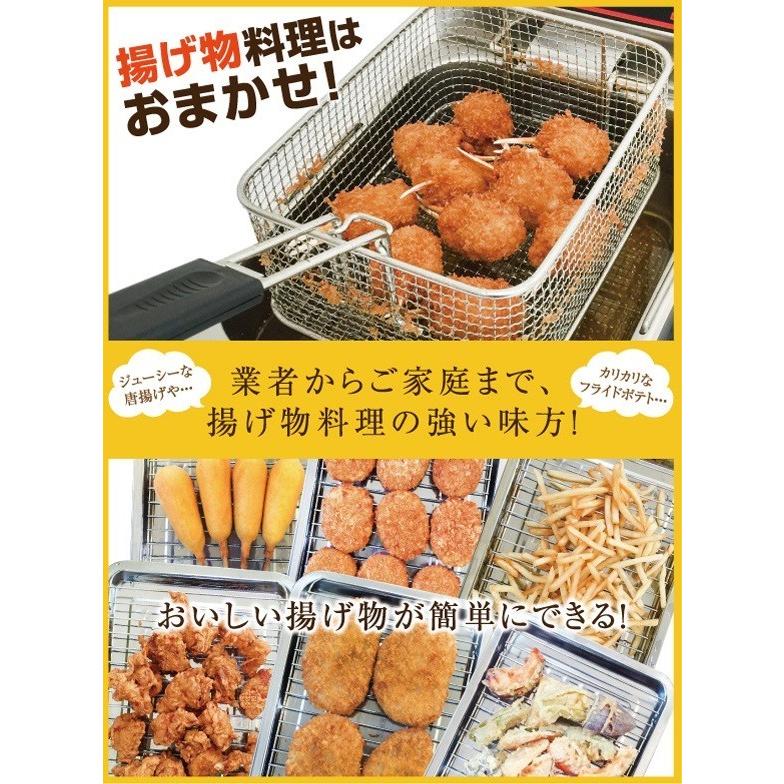 電気フライヤー FL-DS6 ミニフライヤー 6L 卓上フライヤー 電気 卓上