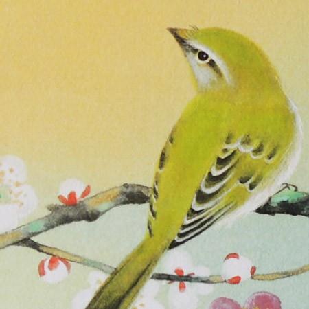 高級色紙「梅に鶯」加弥（色紙絵） : 掛け軸・絵画の専門店 掛軸堂画廊
