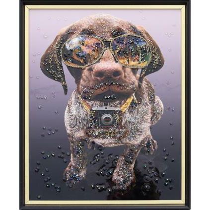 アートフレーム クリスタルピクチャー パパラッチ/犬 額絵 ゴールド