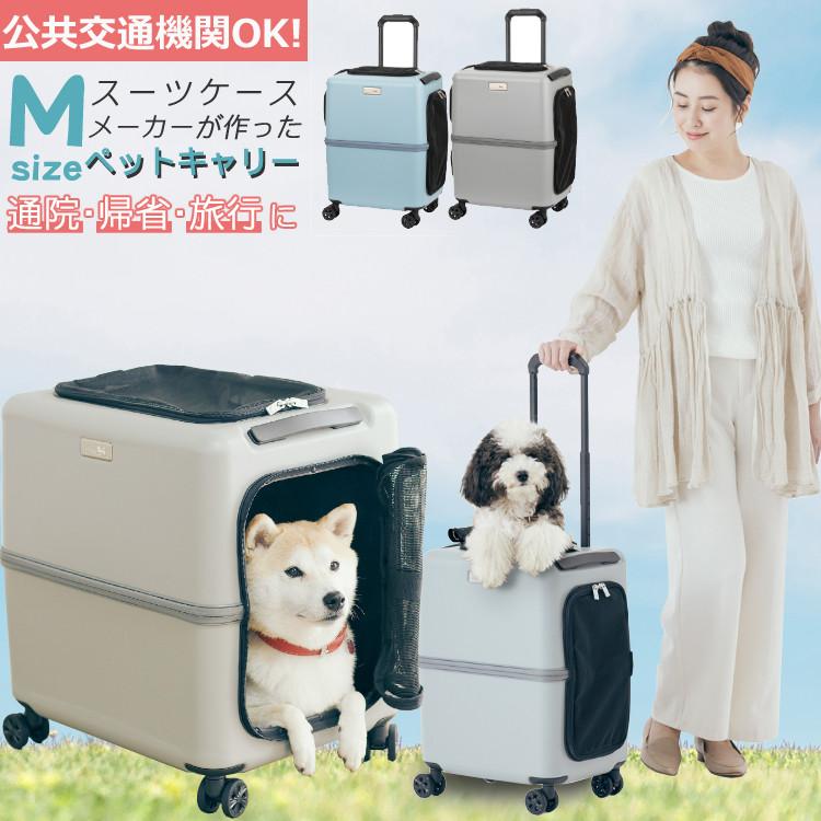 LEGEND WALKER（レジェンドウォーカー） レビュー特典あり（耐重量13kg