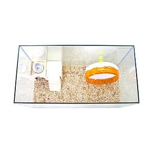 600ハムスターHIGH(グラステリア・パンチングボードセット)【一度