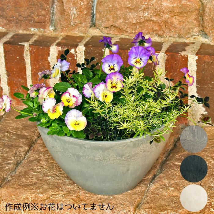 舟型ラウンドプランター 寄せ植え 鉢 約8号（穴有） : 花苗園芸店