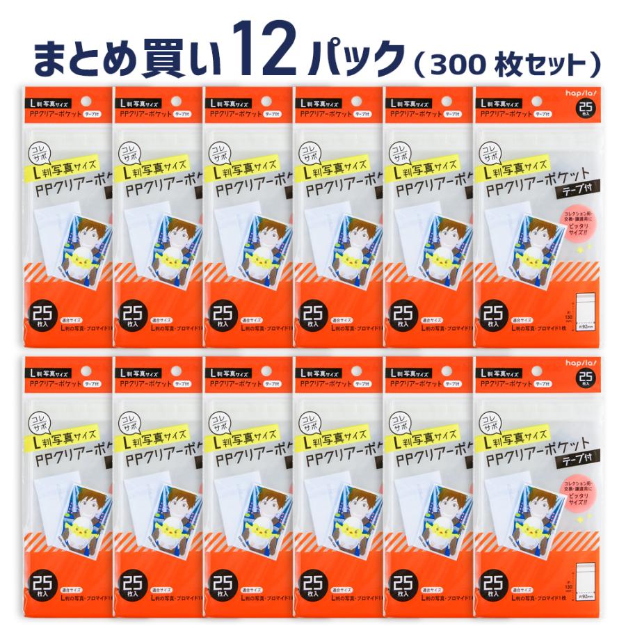 ZARD 販促物・ツアー物販用袋・FCフライヤー・クリアファイルなど
