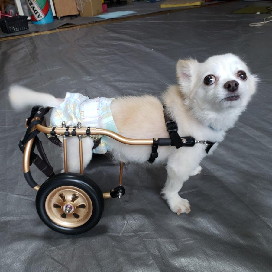 オーダーメイド超小型犬用車椅子 : 犬車椅子桜花 - 通販 - Yahoo