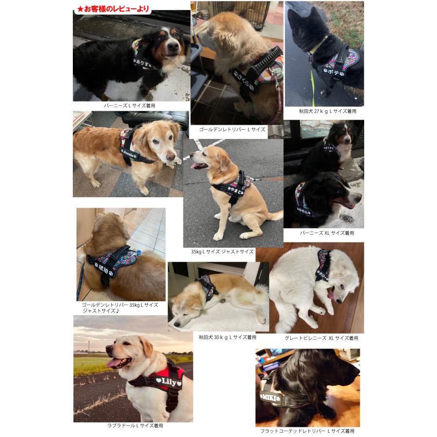 犬 ハーネス 名前入り ハンドル付き 大型犬 L〜XLサイズ 雑貨 グッズ