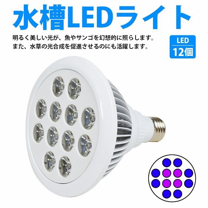 水槽 用 スポット ライト 24W 電球 12LED 青8/紫外線4 口金 E26