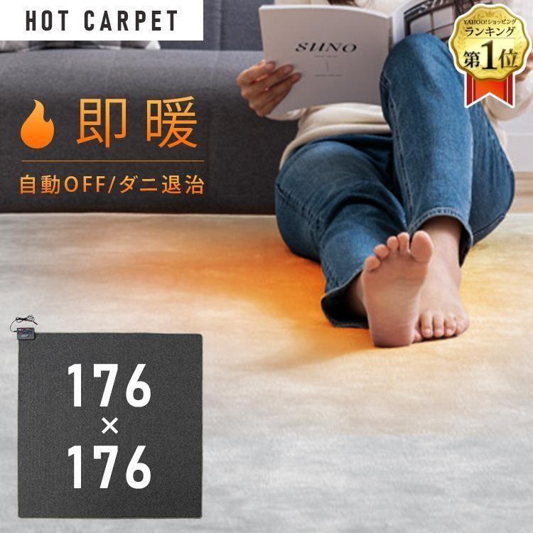 TEKNOS（テクノス） ホットカーペット 2畳 本体 176×176cm 節電 ダニ