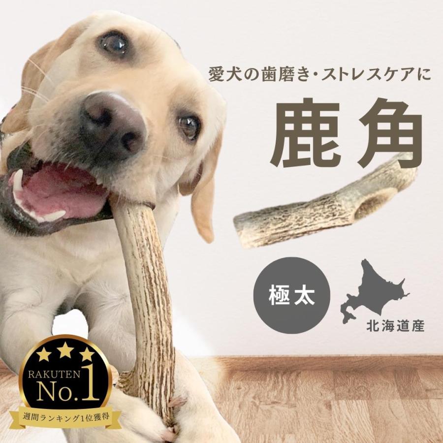 鹿の角 犬 おもちゃ 噛む おやつ デンタルケア 北海道 エゾシカ 用品