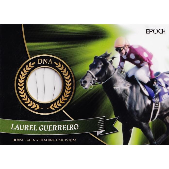 EPOCH 2019 ホースレーシング トゥザグローリー DNAカード /50 2026年