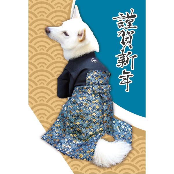 犬 服 犬服 着物 柴犬 豆柴 中型犬 七五三 お正月 結婚式 お祝い 袴