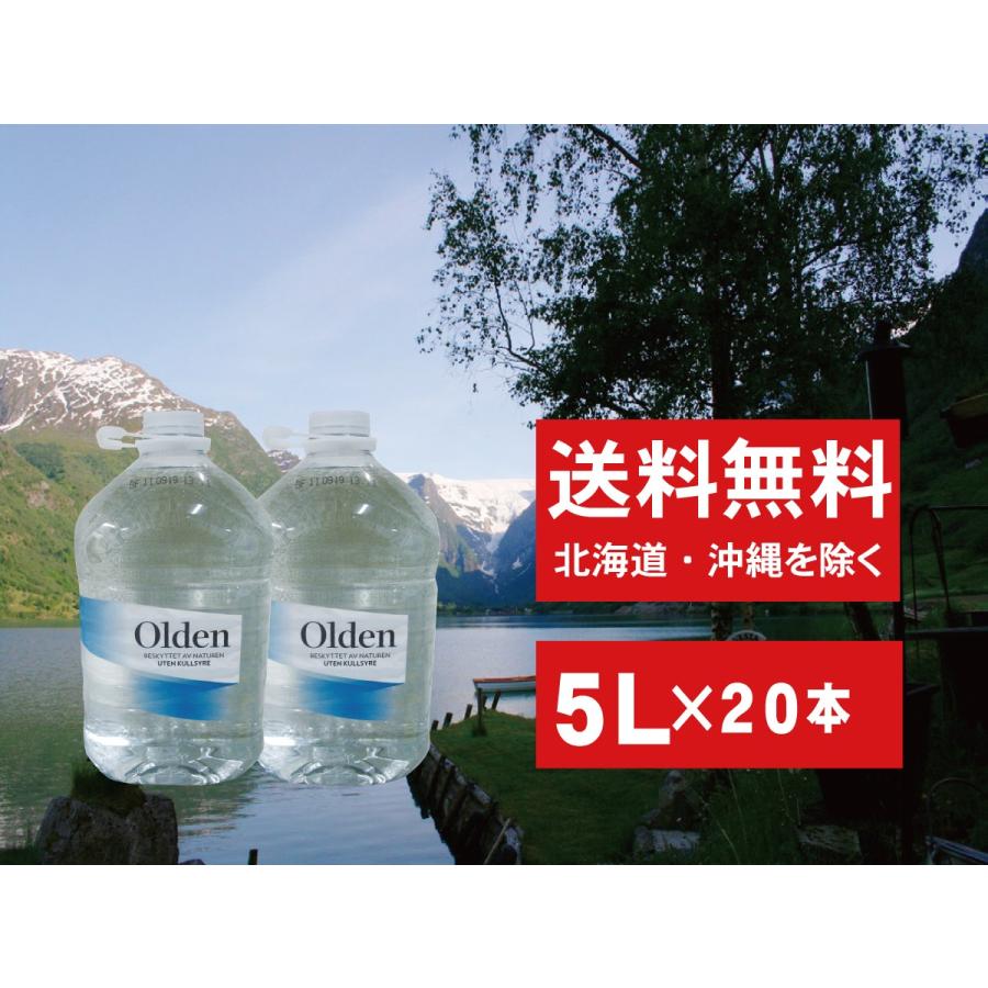 北欧 ノルウェー ミネラルウォーター 5L 20本 オルデン 送料無料 超