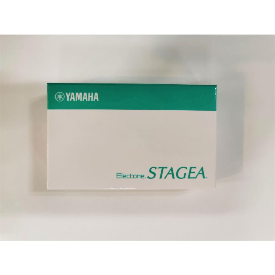 エレクトーン対応USBフラッシュメモリー 4GB ヤマハ動作確認済み GREEN