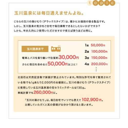 家庭用温浴器】玉川の湯けむり（オリジナル）【玉川温泉湯の花