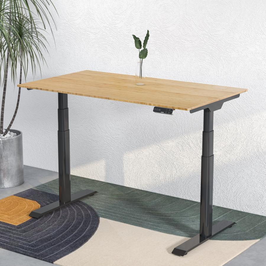 FlexiSpot スタンディングデスク FlexiSpot E8 電動昇降デスク 昇降