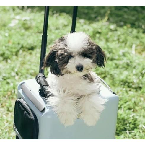 PETico ペットキャリー Mサイズ グレー : インテリア雑貨LeModeヤフー