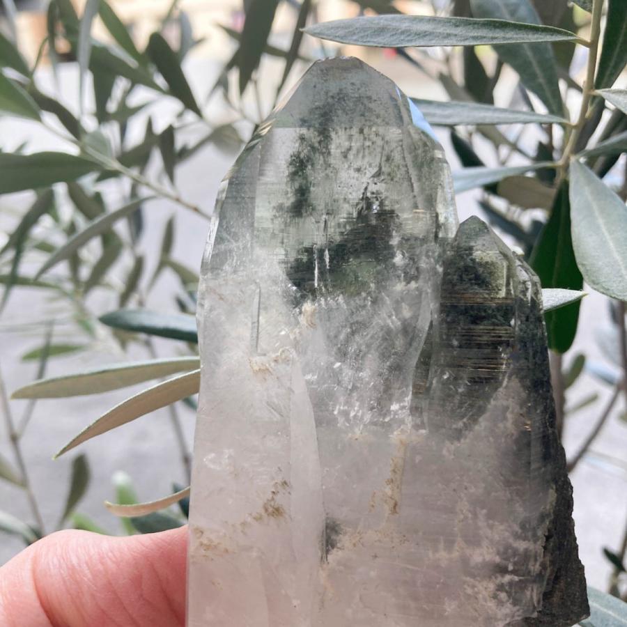 ガネーシュヒマール産 ヒマラヤ水晶 約276g クローライト （緑泥石