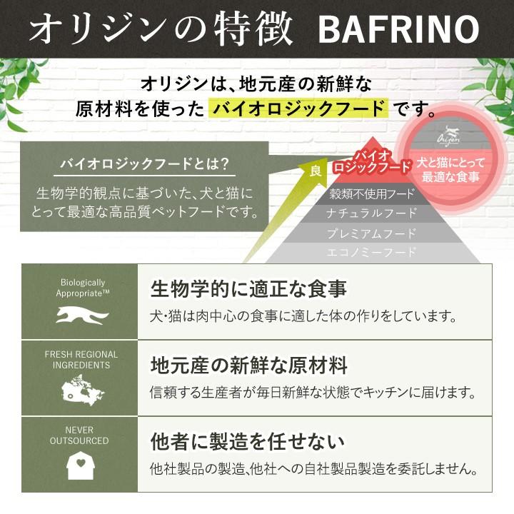 ラスト！originオリジン シニア11.4kg送料無料 ORIJEN（オリジン