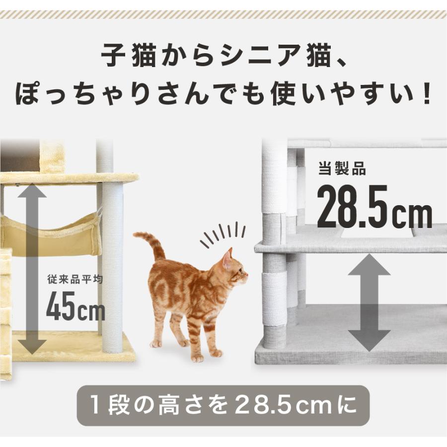 CAT TOWER STADIUM（キャットタワースタジアム） キャットタワー