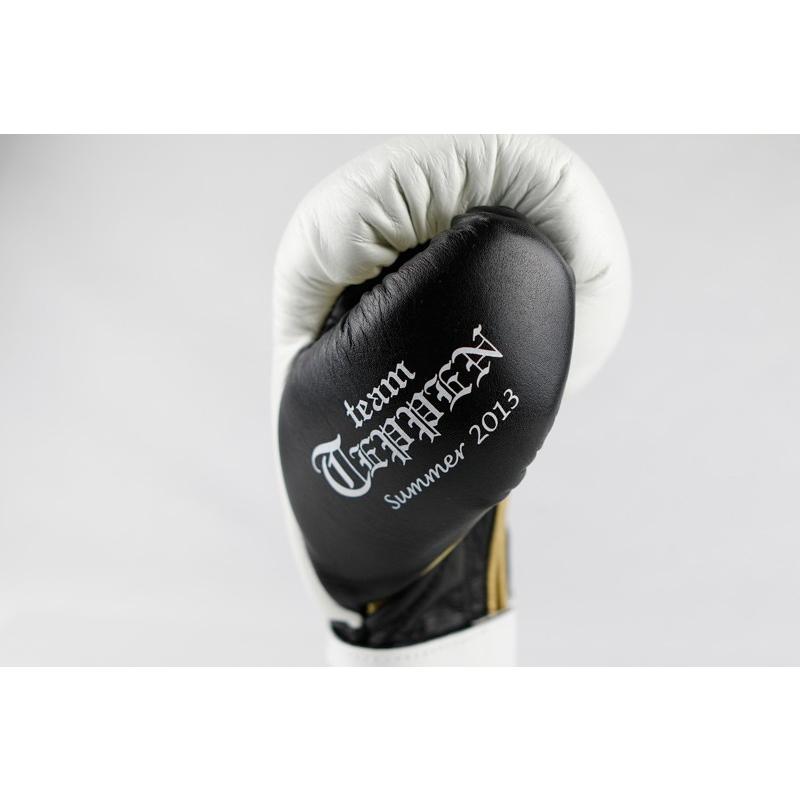 TEN SHIN ボクシンググローブ ISAMI TEN SHIN ボクシンググローブ