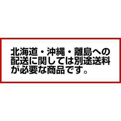 生産終了製品！ソフトアイスクリームディスペンサー フジマック 業務用