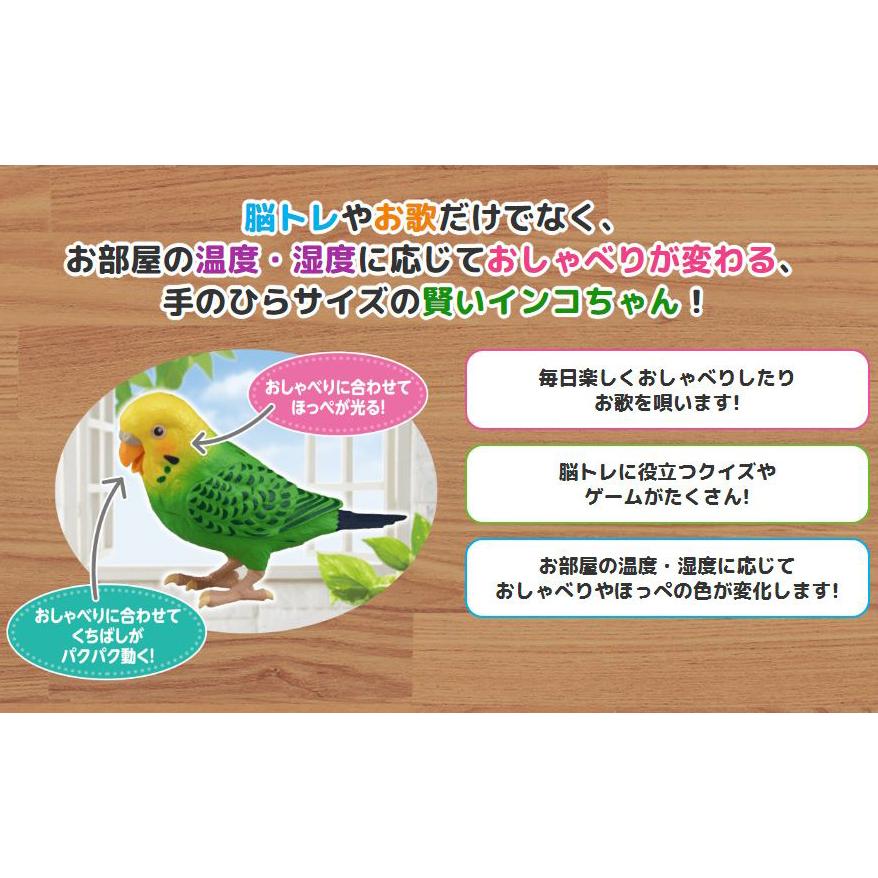毎日おしゃべり 天才インコちゃん 音声認識人形 お話し人形 おしゃべり