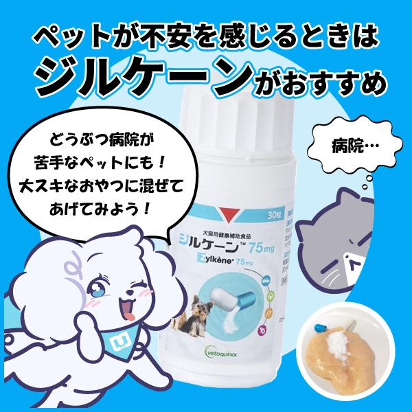 犬猫用 ジルケーン 75mg 30粒入 (ストレスケアに) : 松波動物
