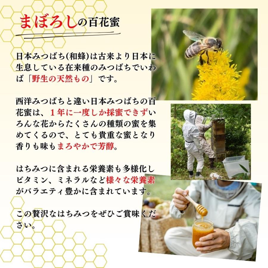 日本みつばち 国産はちみつ 純粋はちみつ 非加熱 蜂蜜 無添加 無農薬