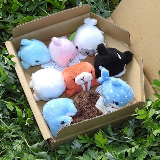 5%OFF 水族館 グッズ ぬいぐるみ セット A-SHOW ムニュマムお手玉