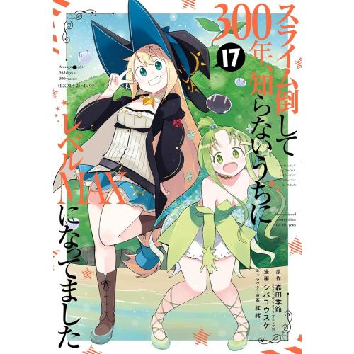 新品 / スライム倒して300年、知らないうちにレベルMAXになってました