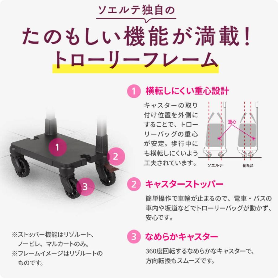 Ace（エース） ACE soelte ソエルテ アルディート 20リットルキャリー