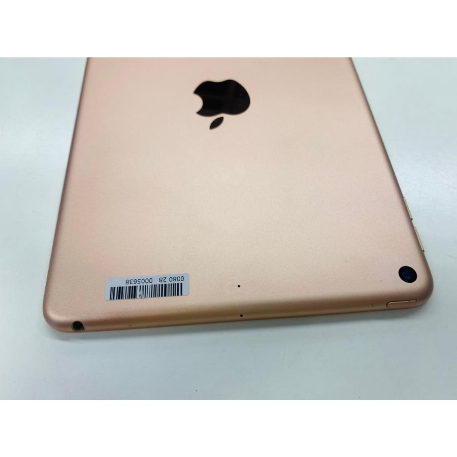 tom ジャンク】iPad mini 5 Wi-Fi+cellular ジャンク】iPad mini 5 Wi