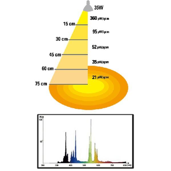 ゼンスイ ソラリウム 35W 専用交換球 [ゼンスイ メタルハライドランプ