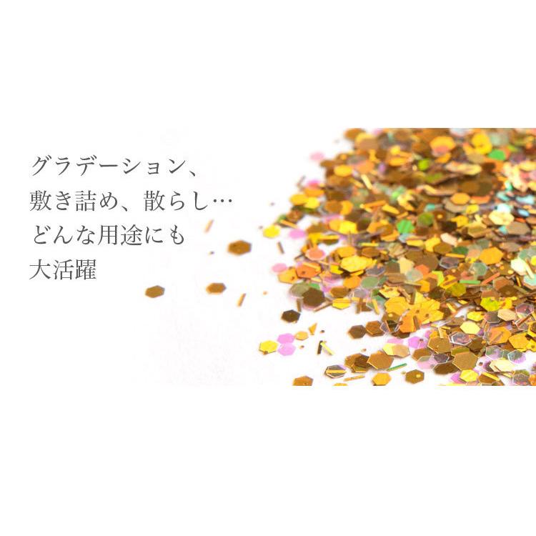 ラメホログラム6色セット ミックス グリッター ラメ ネイル ジェル
