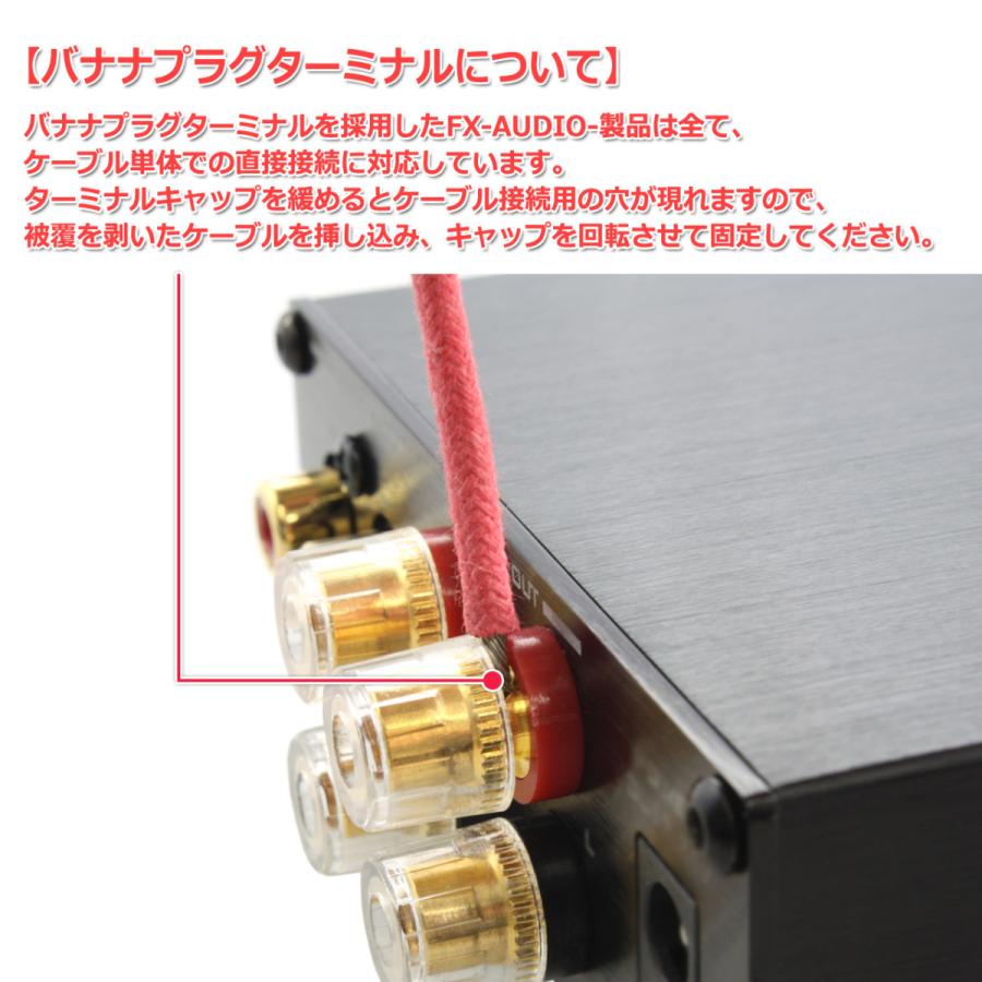 FX AUDIO FX-AUDIO- FX-2020A+ CUSTOM [シルバー]TRIPATH製TA2020-020