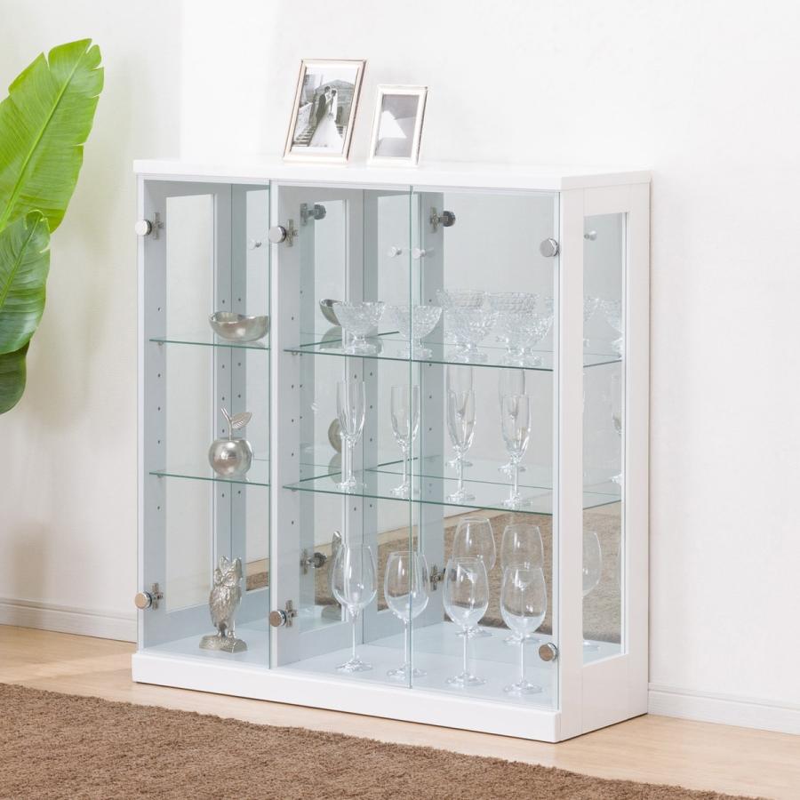 良い 超貴重 超稀少 極楽鳥剥製 大型ガラスケース付 40年程前に購入 超