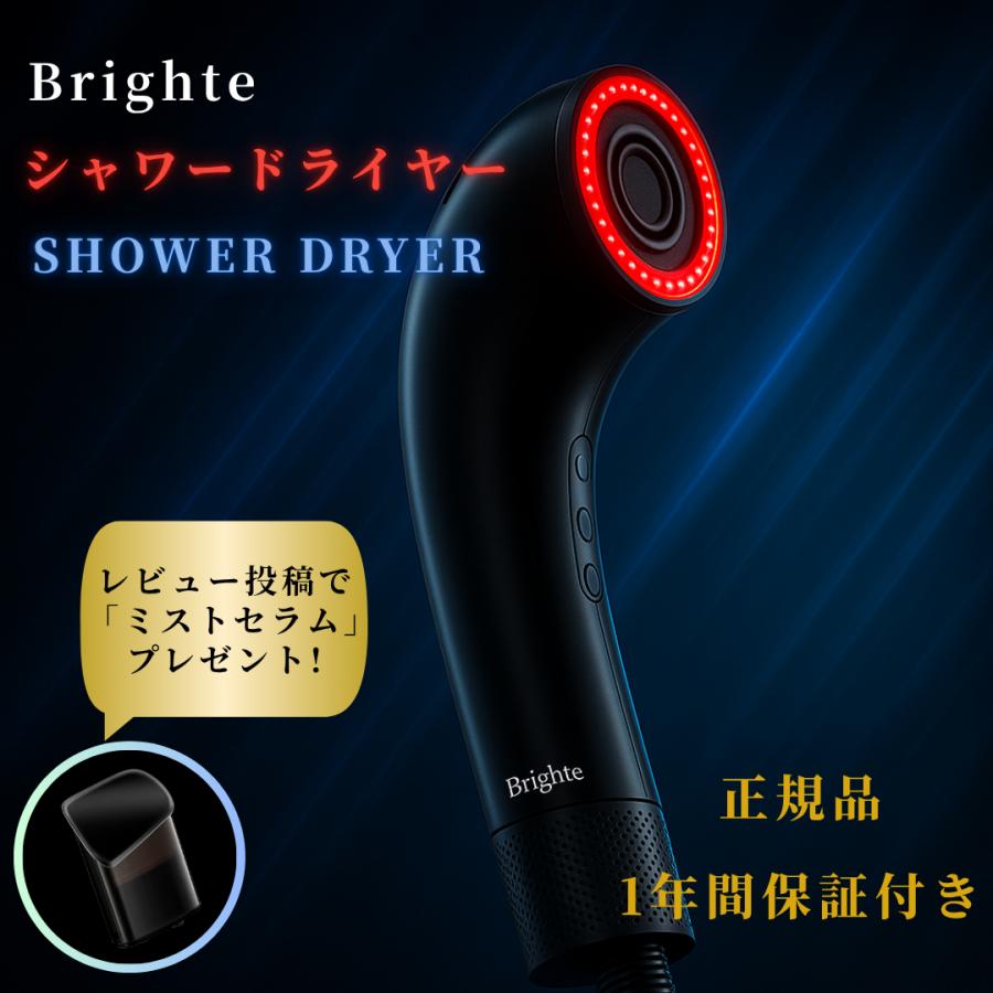 Brighteブライト シャワードライヤーSHOWER DRYER BRT Brighteブライト