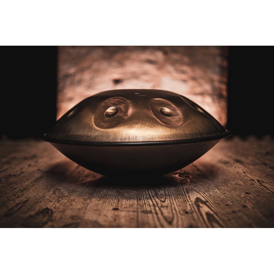 MEINL Sonic Energy ハンドパン HPSTL100〔D Kurd：D / A Bb