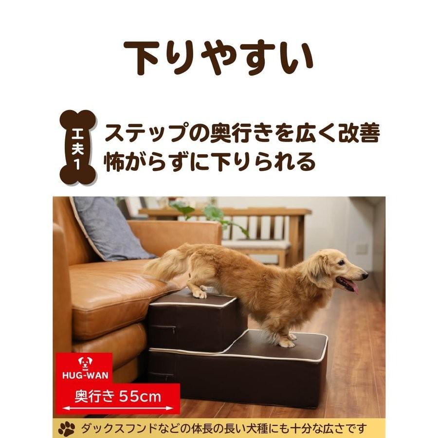 ドッグトレーナー監修 不満点をわんこ目線で解決 ドッグステップ