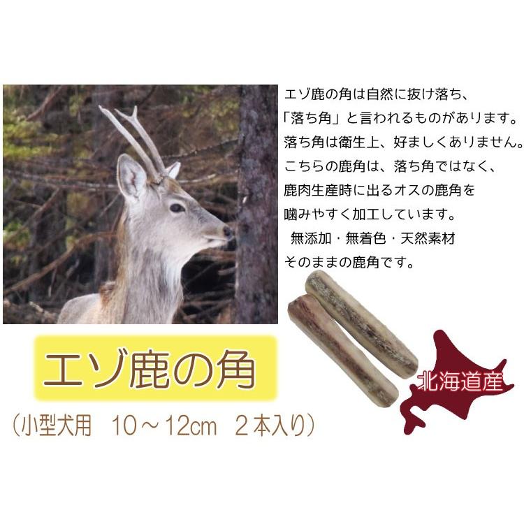 数量限定!北海道産 エゾ鹿の角 小型犬用2〜4本入り 鹿角(シカつの