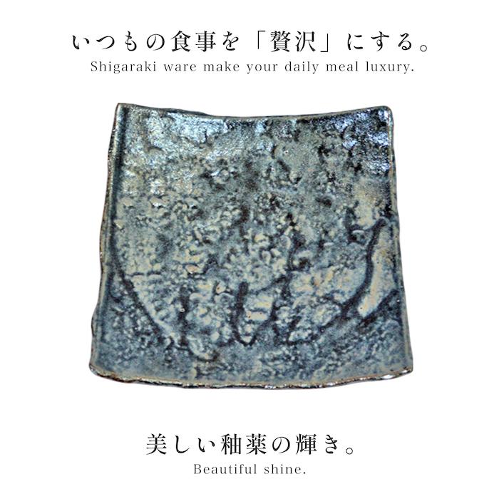 信楽焼 神山易久 長皿 庵窯 陶芸 長方皿 スカーレット 信楽 神山