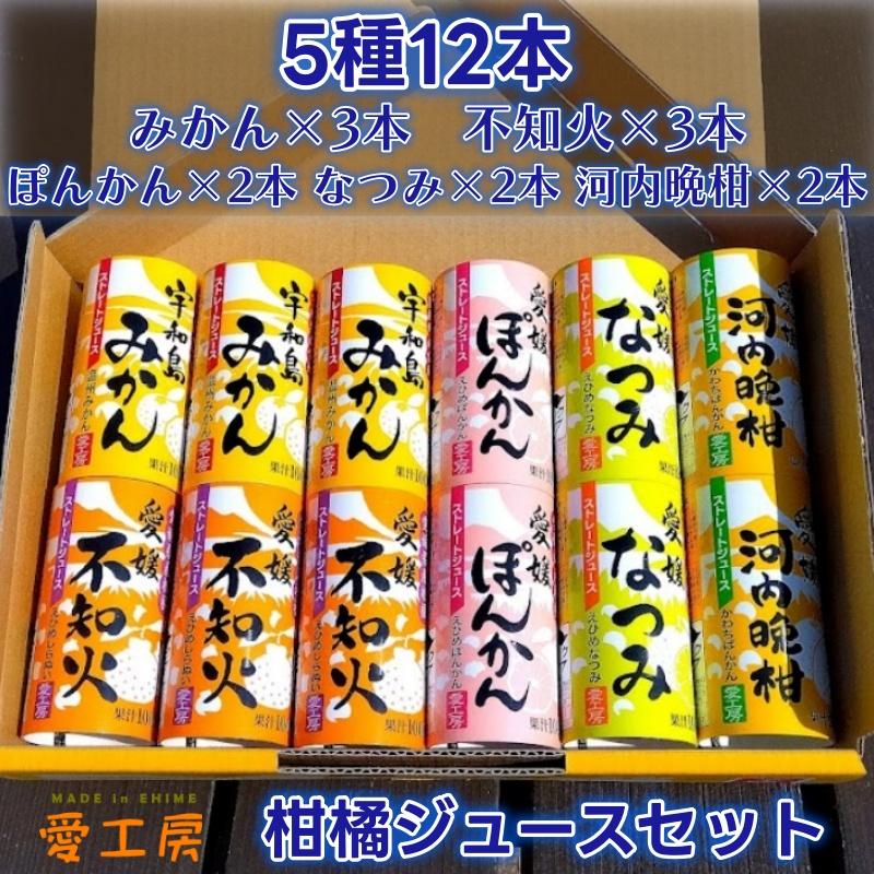 愛工房 宇和島みかんジュース 不知火 河内晩柑 ぽんかん なつみ 温州