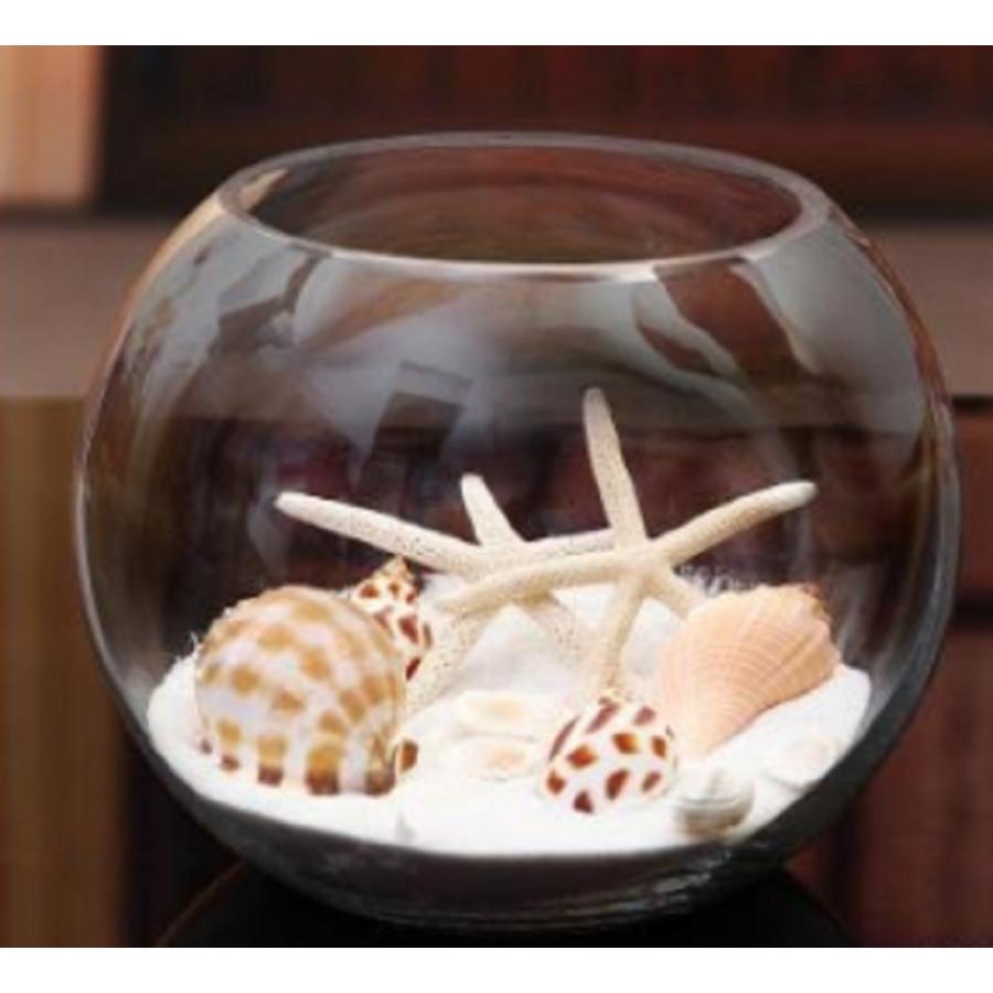 22cm 金魚鉢 テラリウム 花瓶 ガラス おしゃれ 丸い : SHOP SACHI
