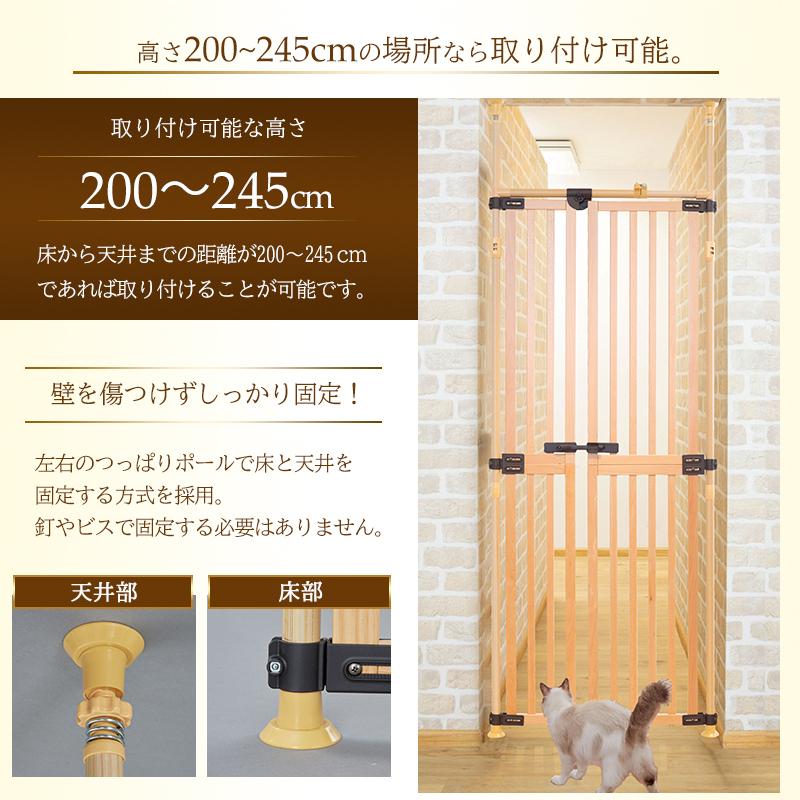 Pet Select by Nihonikuji 木の のぼれんニャン プレミアム (国産