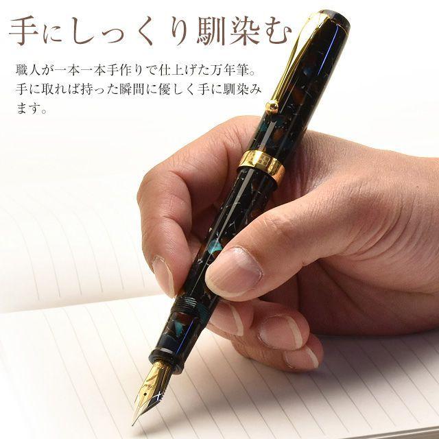 大西製作所 万年筆 Pent ペント アクリル 14金バイカラーペン先