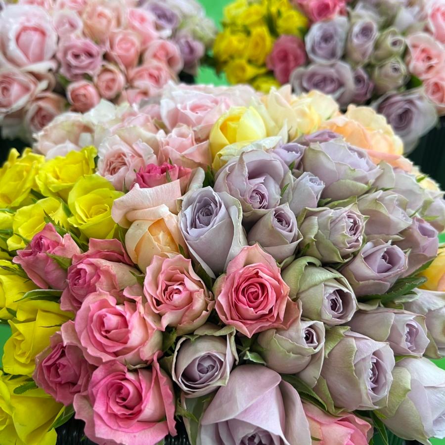 S20＃梦游花之镜(PET)MOODTAPE切り売り海外装飾マステ