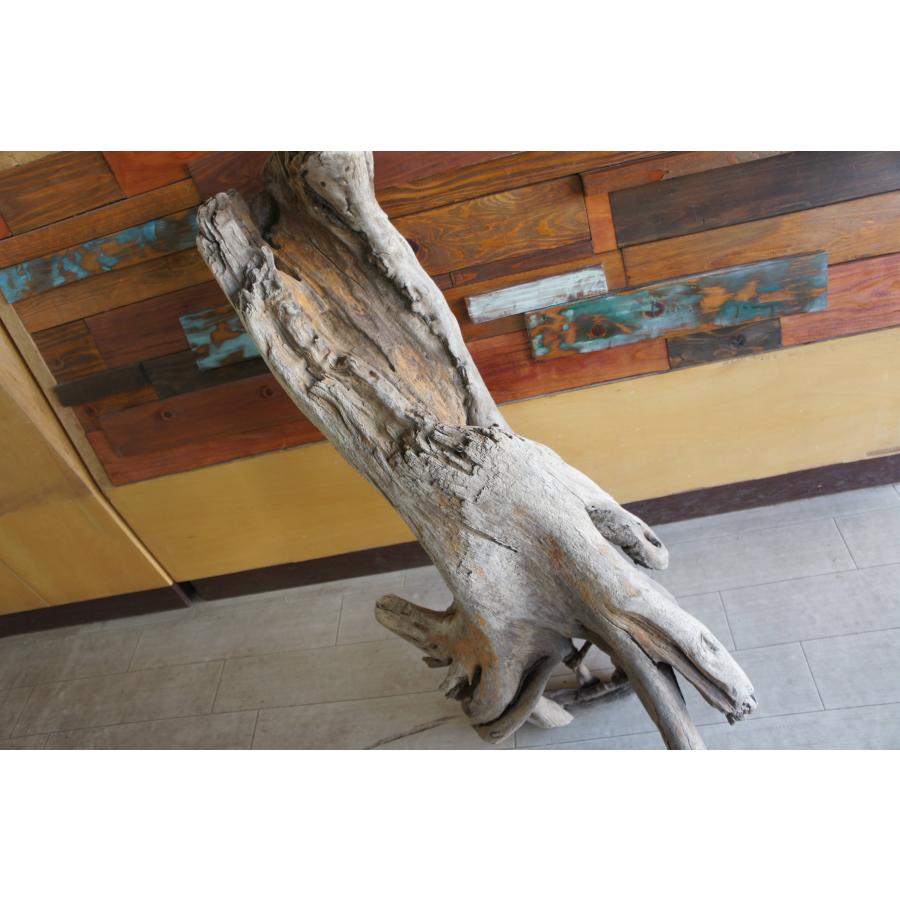 n85大型流木 アク抜き済み 爬虫類シェルター 登り木 レイアウト用