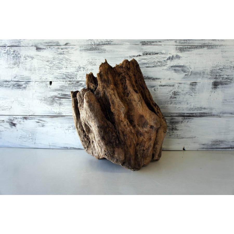 流木 爬虫類 登り木 あく抜き処理 煮沸消毒済 トカゲ ヤモリ ケージ