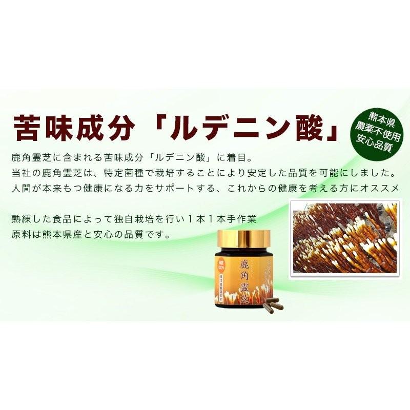 霊芝 サプリメント 鹿角霊芝（ろっかくれいし）「国産」（約1カ月分