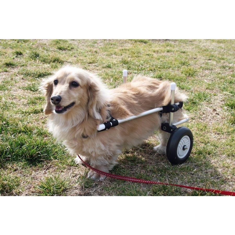 わんワーク 犬用2輪歩行器・車椅子 小型犬用 〜8.5kg以下 : わんワーク